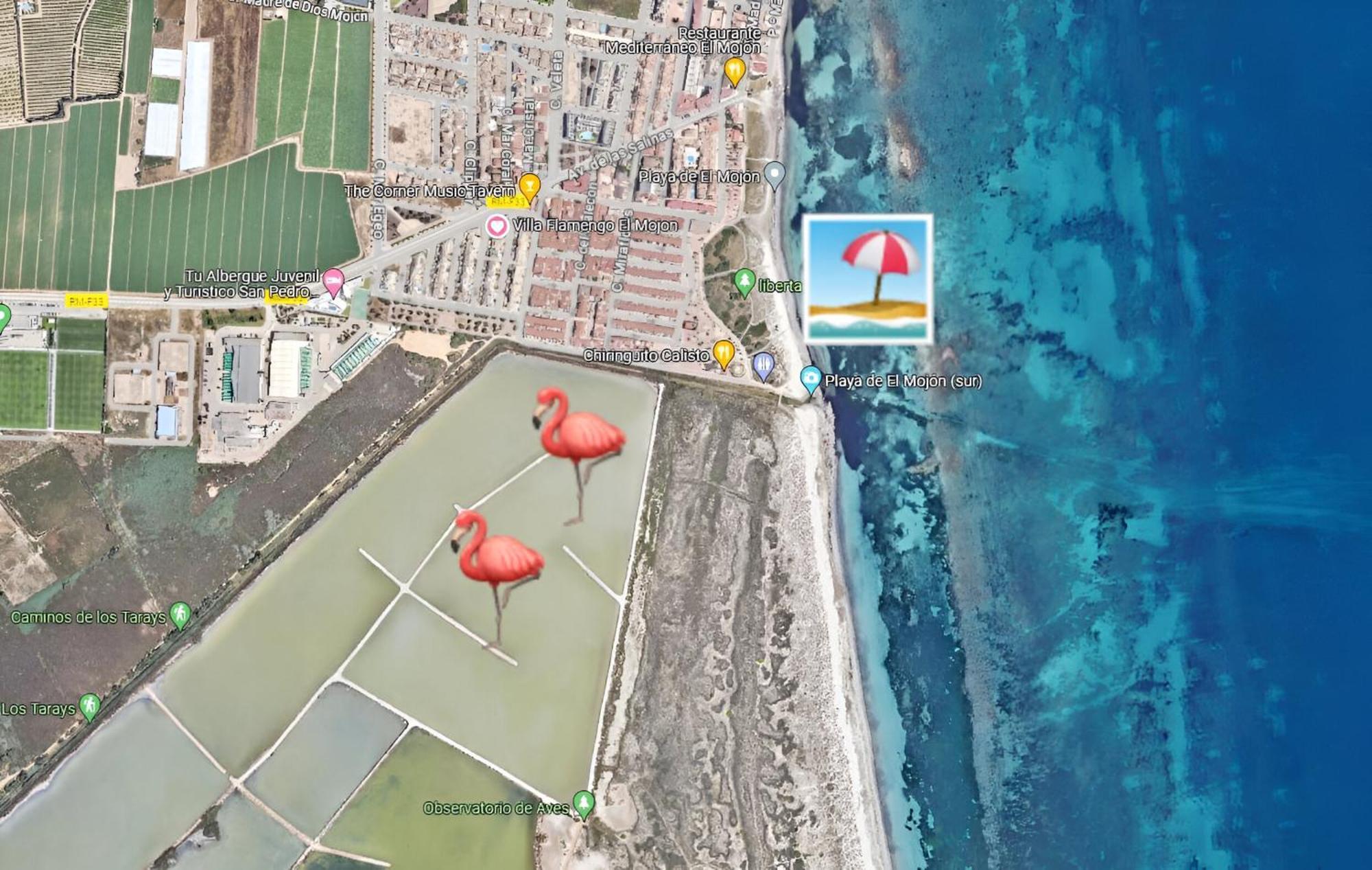 Flamingo Vila Alicante San Pedro del Pinatar Bagian luar foto